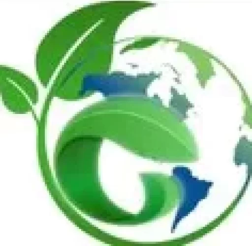 Garvit green eco-friendly biodegradable tableware