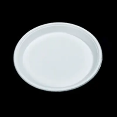 bagasse plates