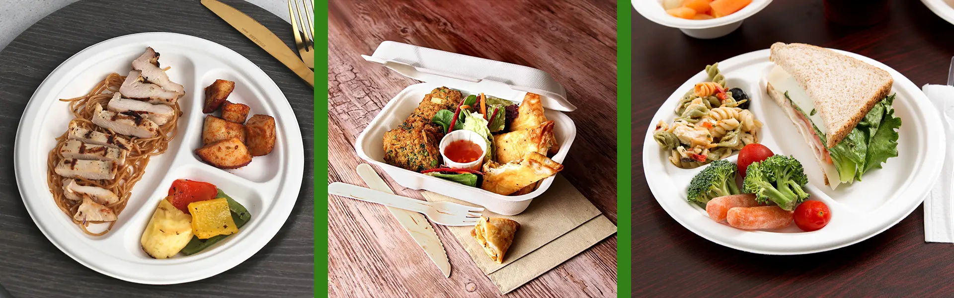 Home 3 biodegradable and compostable bagasse plates and bento box