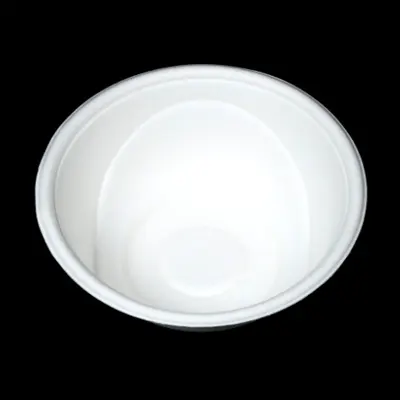 bagasse bowl India