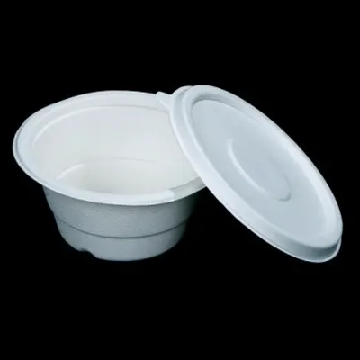 bagasse bowl India with lid