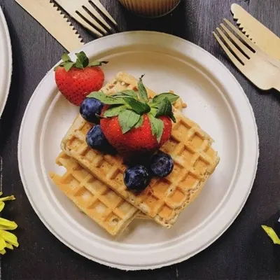 biodegradable bagasse tableware
