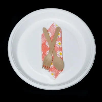 eco-friendly biodegradable and compostable sugarcane bagasse sustainable tableware