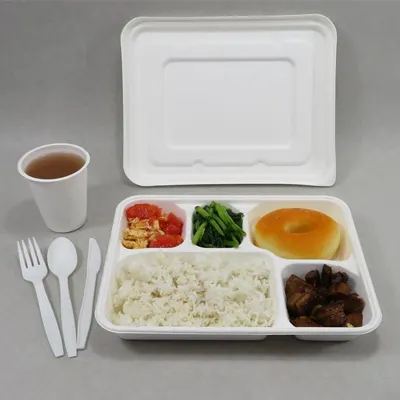 meal tray with lid