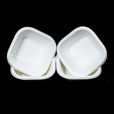 bagasse kiwi-bowl