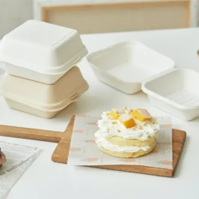 sugarcane bagasse burger box