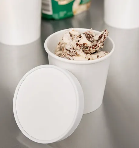 Home 10 biodegradable and compostable bagasse paper containers