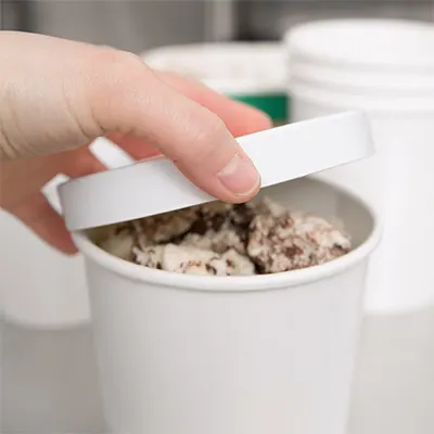 biodegradable and compostable bagasse paper-container