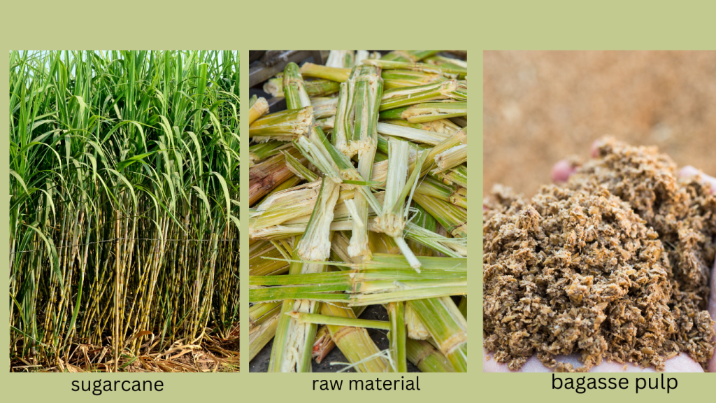 The Manufacturing Process Of Sugarcane Bagasse Tableware Products In The Manufacturing Process Of Sugarcane Bagasse Tableware Products In
