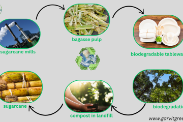 manufacturing process of bagasse tableware products