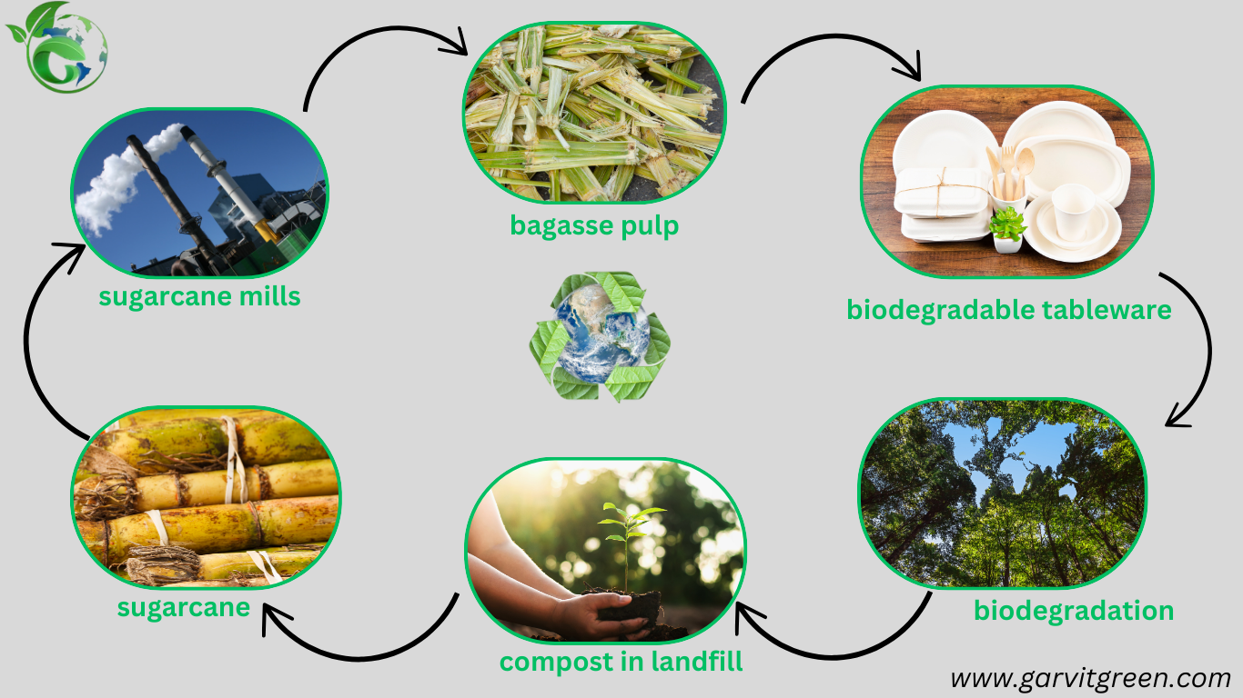 manufacturing process of bagasse tableware products