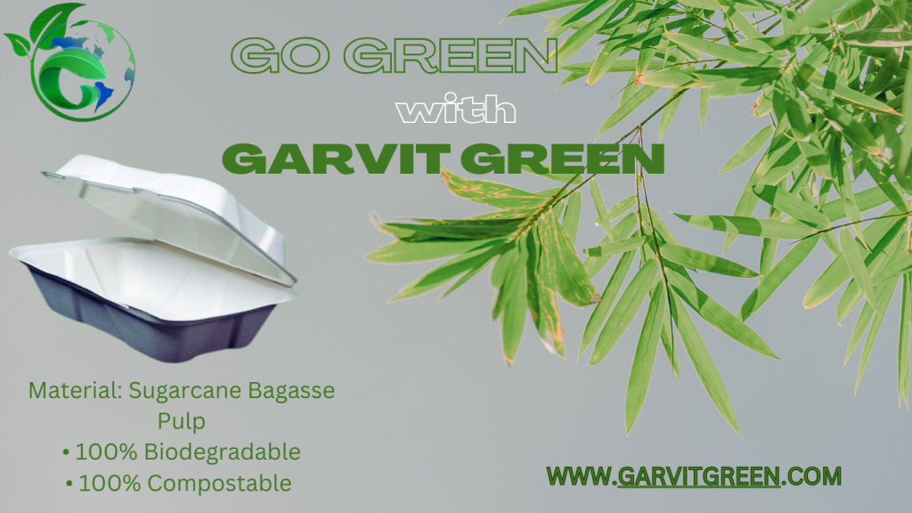 Best Sustainable Tableware—Biodegradable Bagasse for Eco-Friendly Festivities 2 sustainable tableware