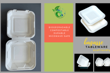 Top 5 Myths about Biodegradable food ware debunked  4 Biodegradable Food ware