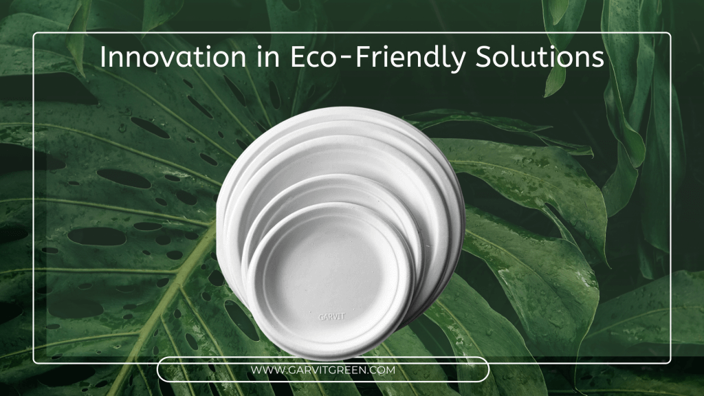 HORECA Industry: The Role of Mapple Leaf Tableware in Transforming HORECA 3 HORECA Industry