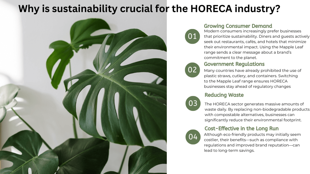HORECA Industry: The Role of Mapple Leaf Tableware in Transforming HORECA 2 HORECA Industry