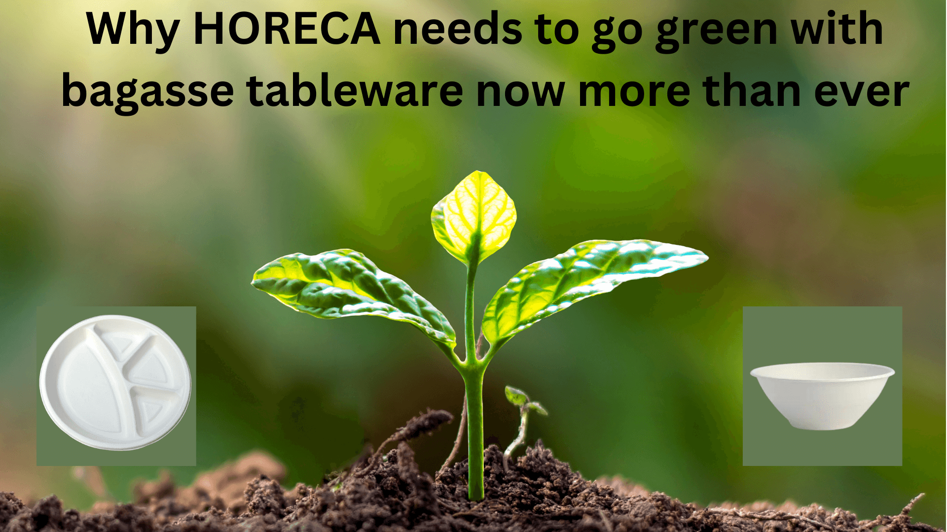 HORECA Industry