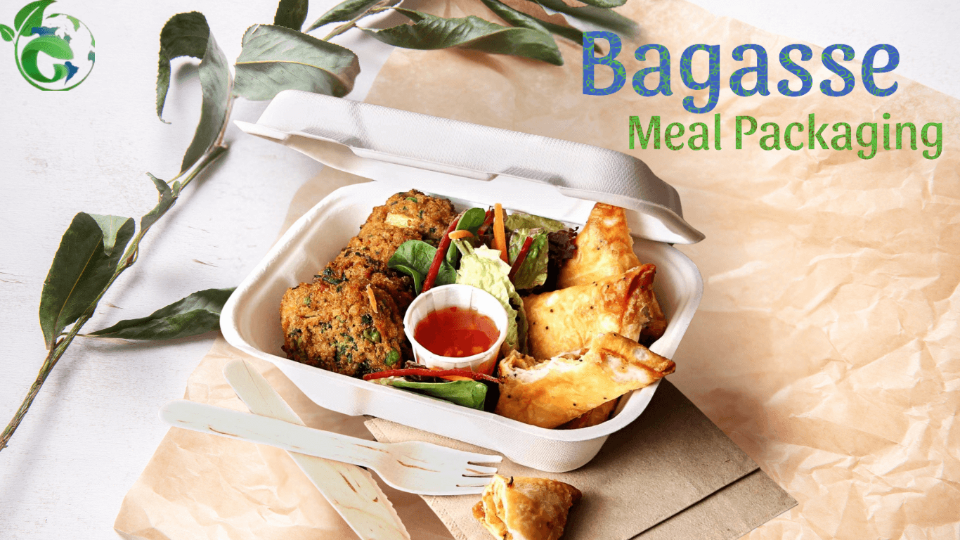 bagasse meal packaging