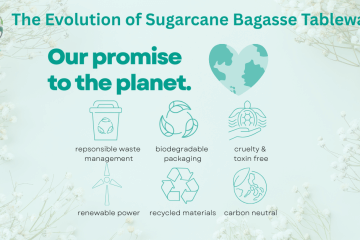 Sustainable Manufacturing