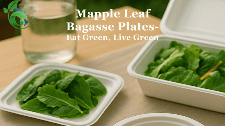 biodegradable bagasse plates