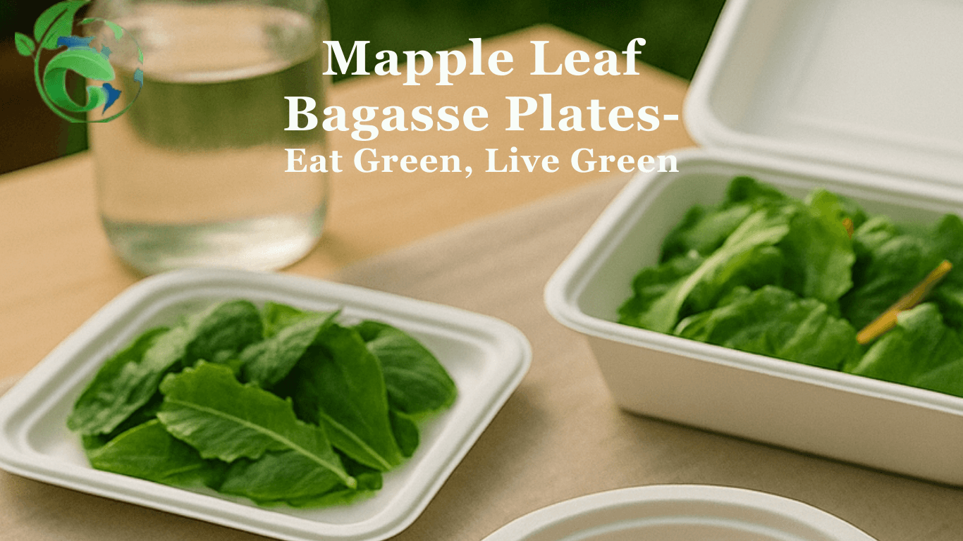 biodegradable bagasse plates