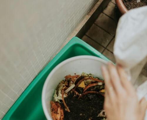 How to Start a Zero-Waste Journey at Home — With Garvit Green's Eco-Friendly Essentials 1 kitchen compost bin
