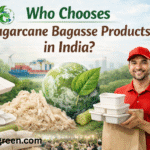 bagasse products